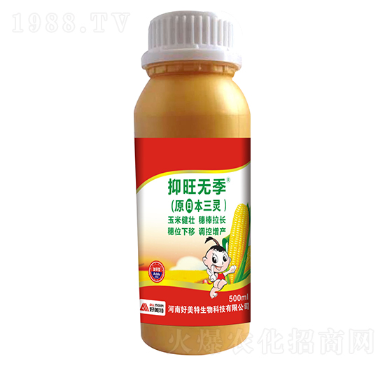 500ml�����o(w��)����ԭ�ձ����`��-������