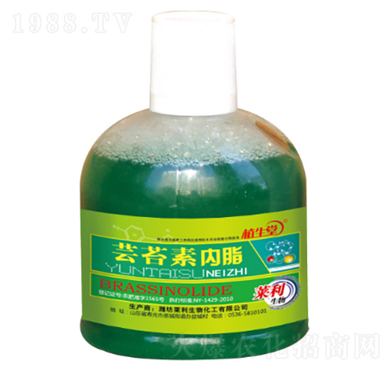 �|̦�؃��� �R������