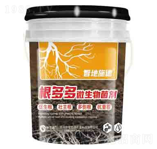 �����΢������� ����