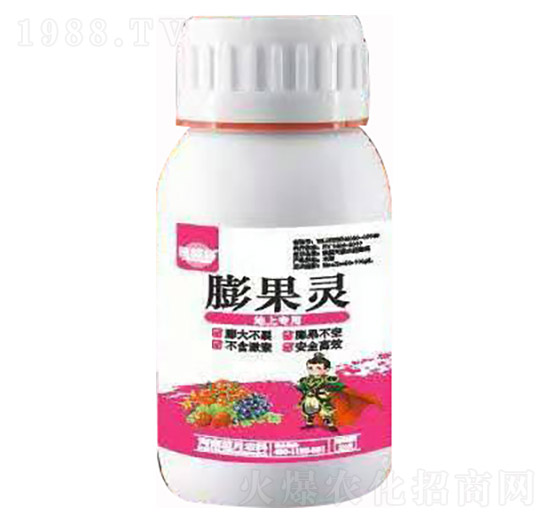 ���ό��� ����` �ڌ� �{���r��