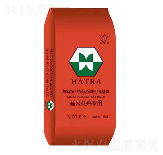 �߲˻��܌��� �@ʯϵ�мt�@���|(zh��) ������