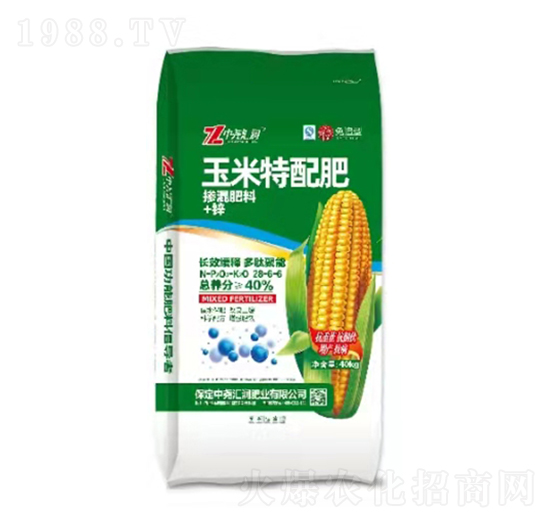 ���������28-6-6 �Ј�R��(r��n)