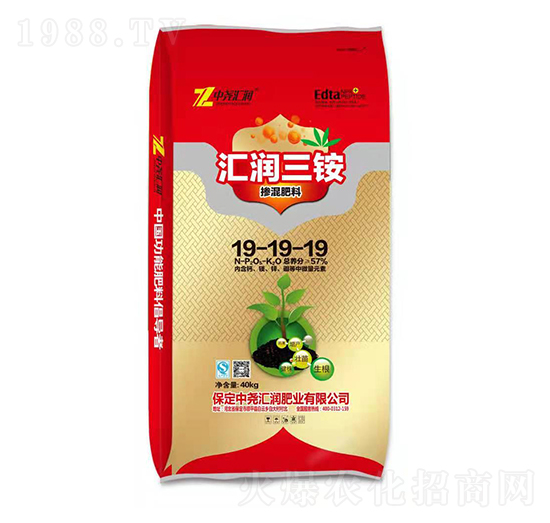 �������19-19-19 �R������ �Ј�R��