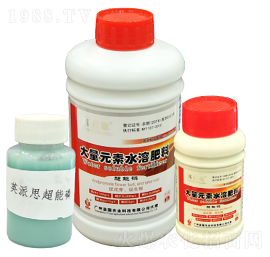 Ӣ��˼������� ����r(n��ng)�I(y��)