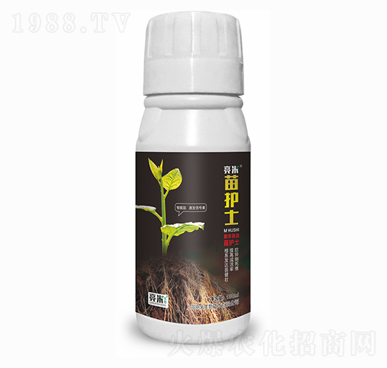 ���o(h��)ʿ ��������