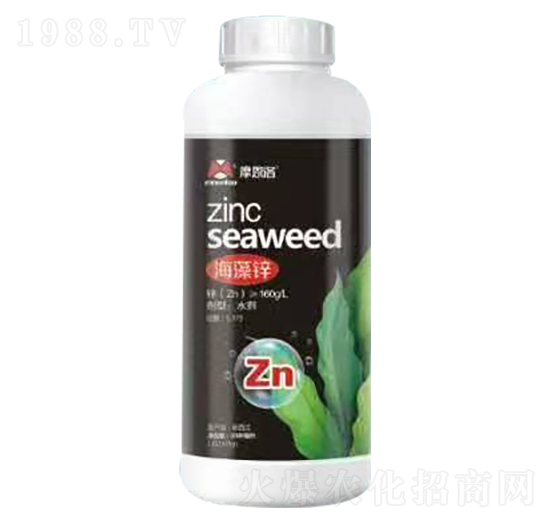 �����\ Ħ����