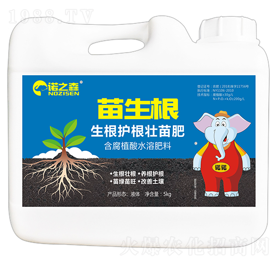 �����o����� ������ �Z֮ɭ