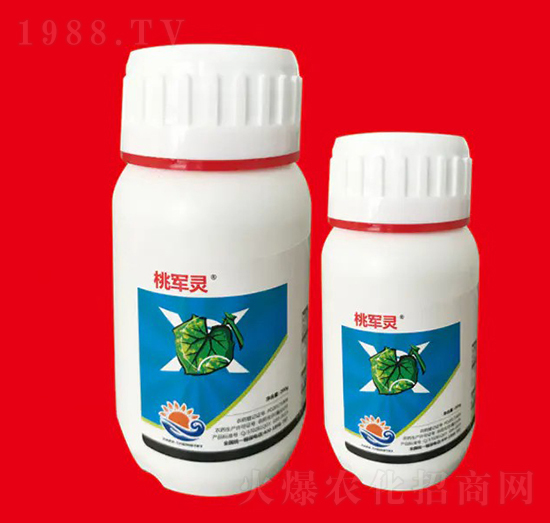 2%����ù�� ��܊�` ��Ƚ���W(xu��)