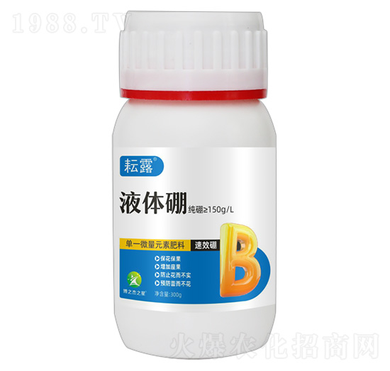 Һ�w��-��¶-�S�՘�