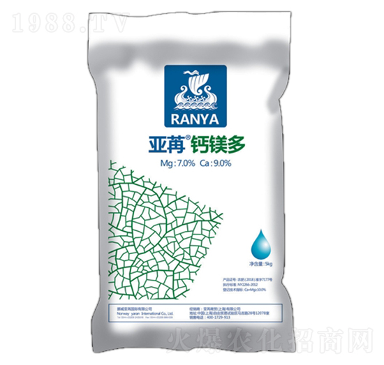 �����}�V�� ���ۇ�(gu��)�H