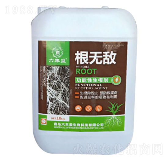 ���������������أ����S�t