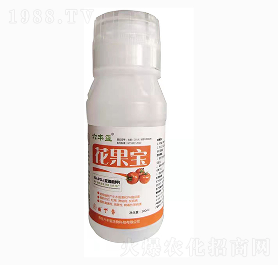 �������-������-���S�t