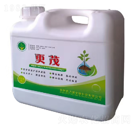 ��ï-������