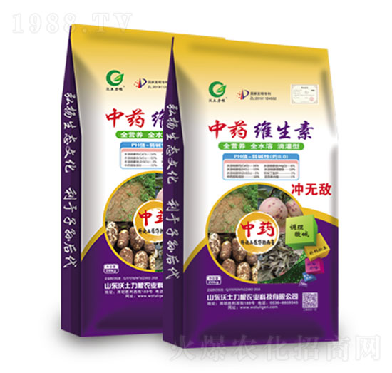 ��ˎ���S����1̖-�W�����F(tu��n)