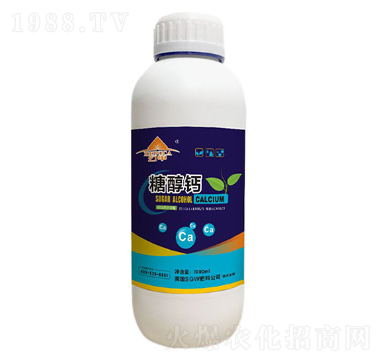 �Ǵ��}-�ü�-�V���ƈD