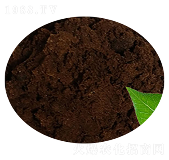 ������-�Gɫ��@