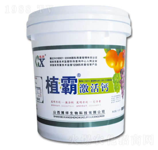 ֲ�Լ����}-��������