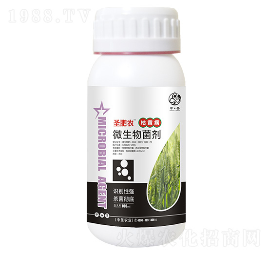 ƿ�b���S������΢�������-ʥ���r-��ʥ�r�I(y��)