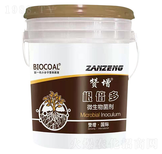 ΢������� ������ ٝ��