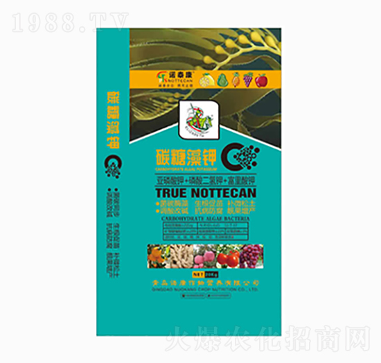 ̼�����-�Z̩��-���u�Z��