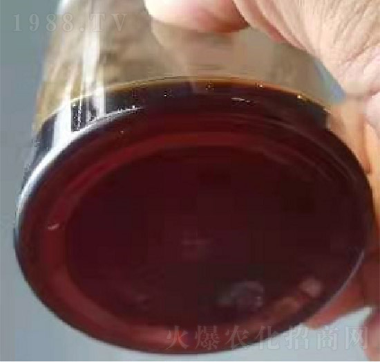 ������Һ-��������