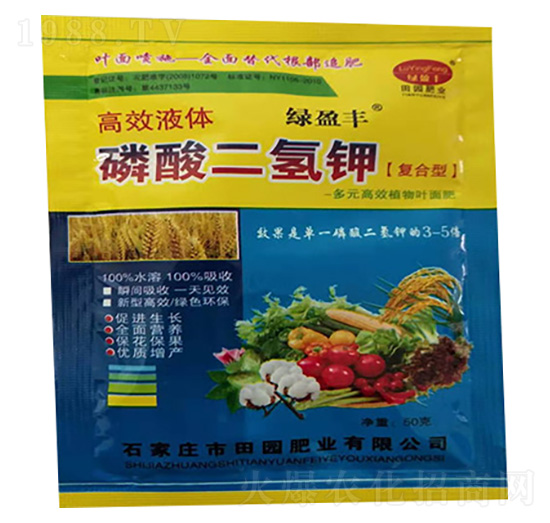 ��������-��@�ʘI(y��)