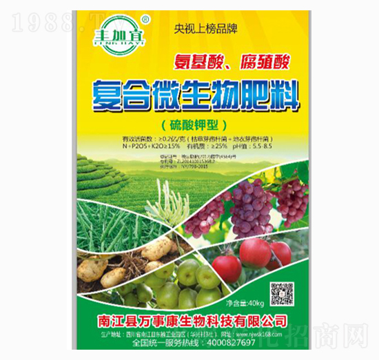 �ͺ�΢�������-�f�¿�����