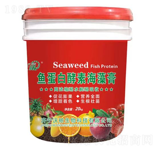 �~���׽��غ���� ��������