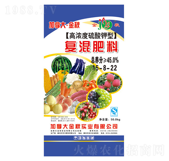 �ߝ��������͏�(f��)�����15-8-22-���ô󡤽���-�A������