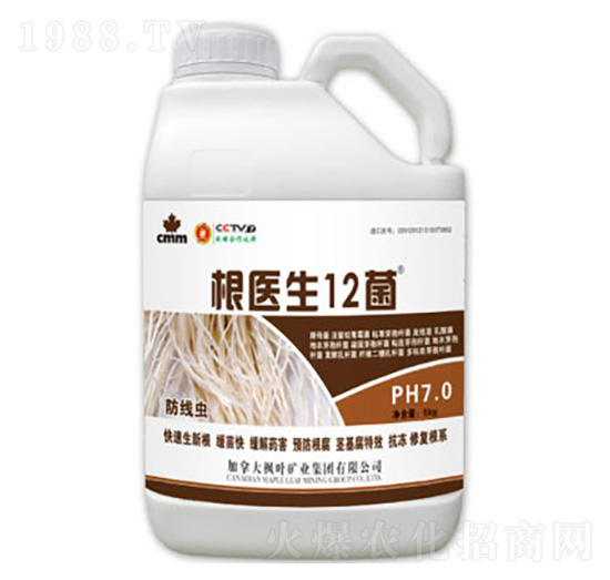 ���t(y��)��-ʢ������