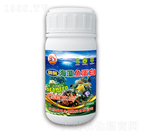 ̼ø�����~(y��)����-ʢ������