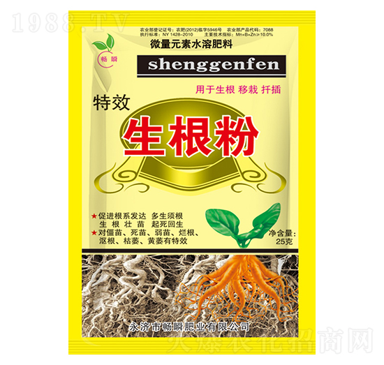 ��Ч������-��˲