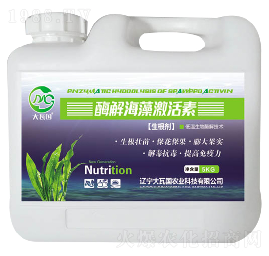 ø�⺣�弤����-���߇�(gu��)�r(n��ng)�I(y��)