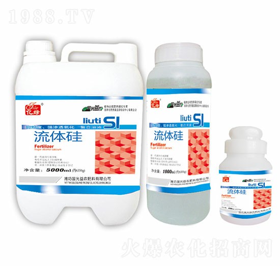 ���w��-��(gu��)�����r(n��ng)