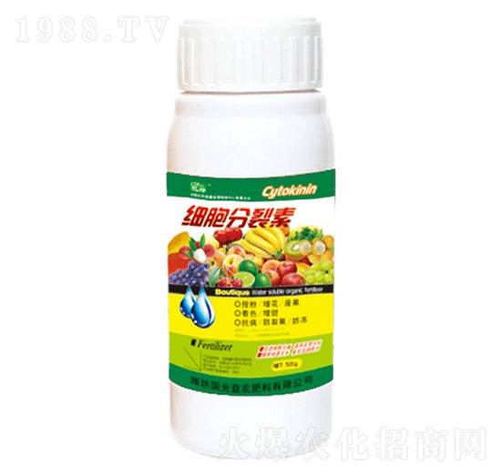 ��(x��)��������-��(gu��)�����r(n��ng)