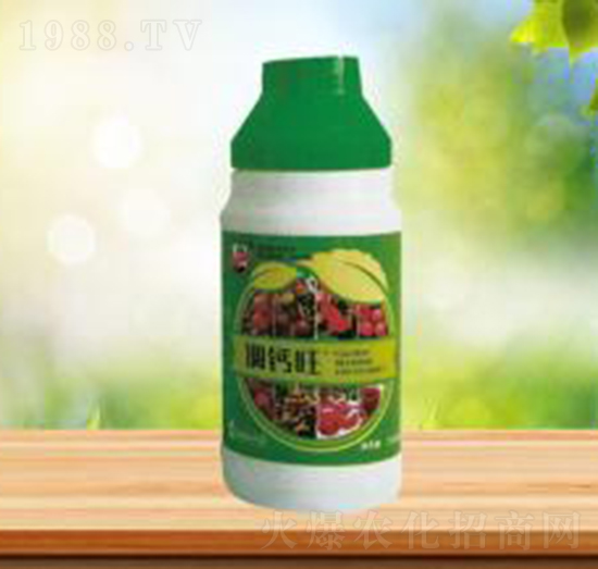 �{�}��-ʢ�A�r�I(y��)