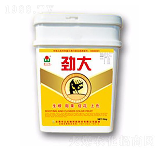 �Ŵ�-���A��