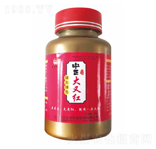 �������ּt-���A��