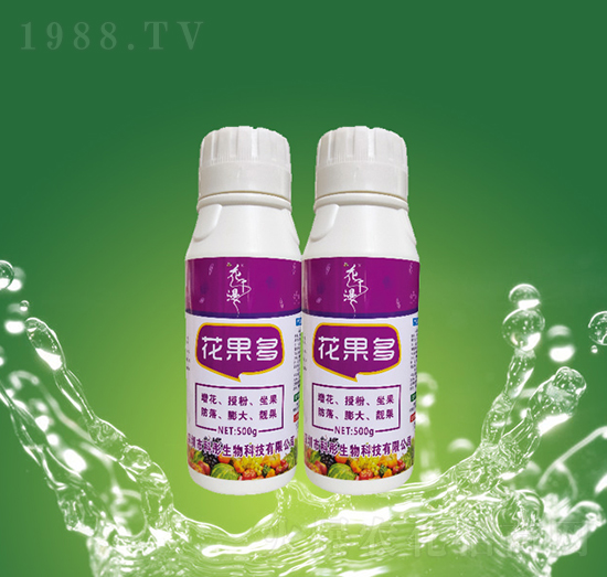 ������-��ͮ����