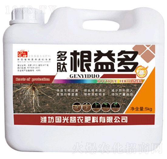 ���ĸ����-��(gu��)�����r(n��ng)