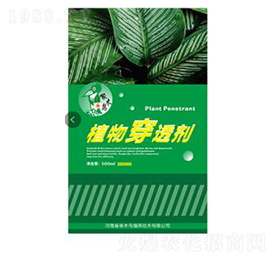 ֲ�ﴩ͸��-��ľ�B