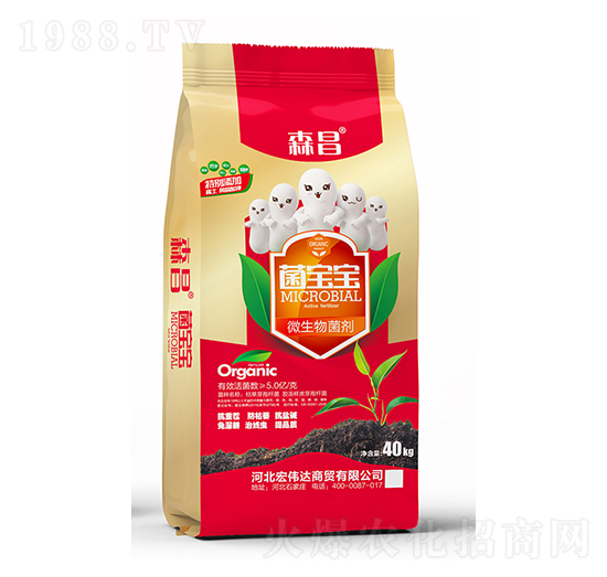 5�|΢�������-������-ɭ��-�ꂥ�_(d��)