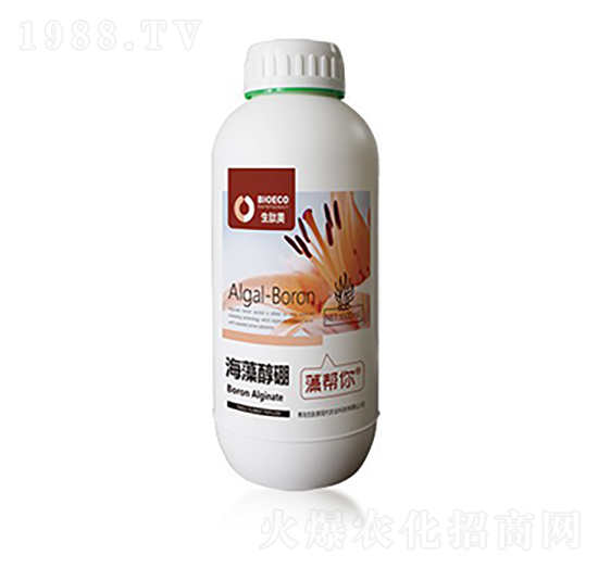 ���崼��-�����-������