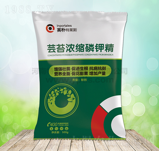 �|̦��s��⛾�-Ӣ�����R˹