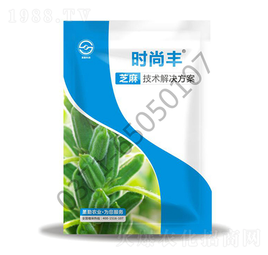 ֥�鼼�g(sh��)��Q����-�r���S-ʥ���r(n��ng)�I(y��)