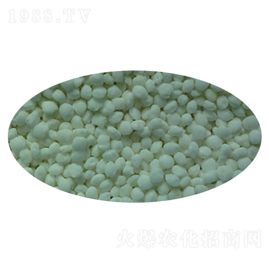 �w������ԭ��-����