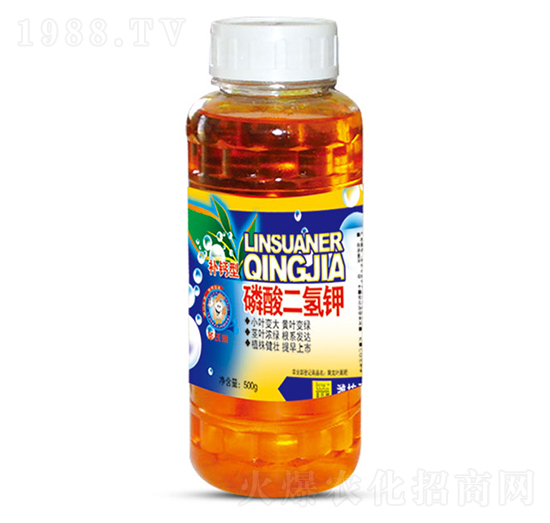 500g��������-ʥ�ϝ�(r��n)