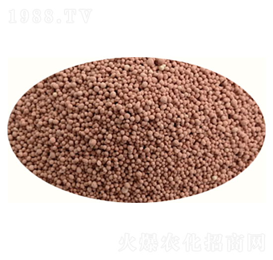 ��ƺ��-ʩ�̾G-�߸�