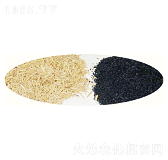 ������������̿-ԣ����Դ