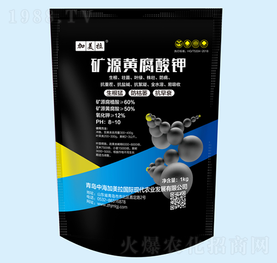 �VԴ�S�����-������